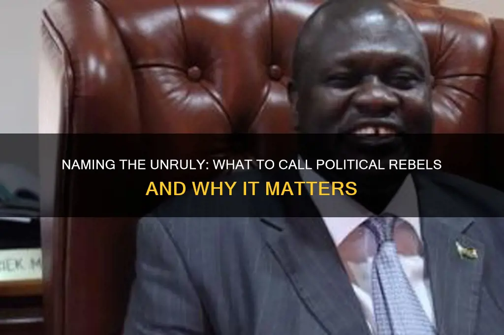 what to call political rebels