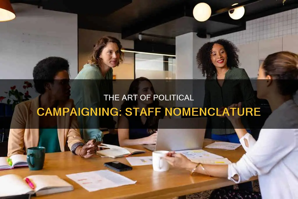 what to call someone who works for a political campaign