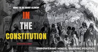 The Constitution's Slavery Legacy: What Now?