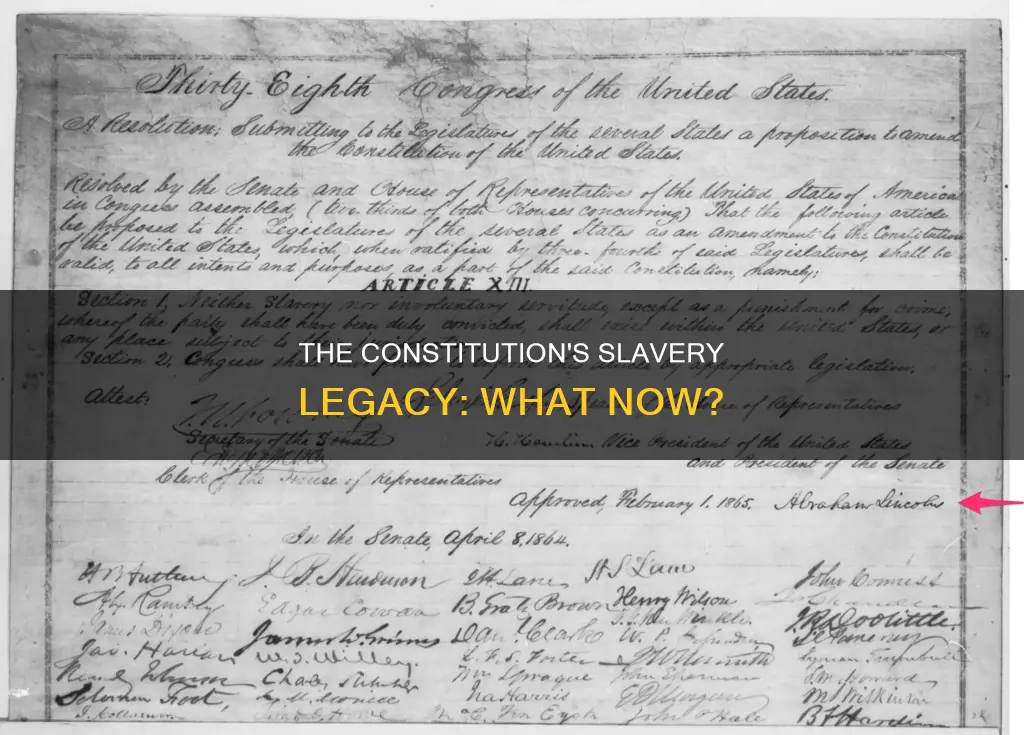 what to do about slavery in the constitution