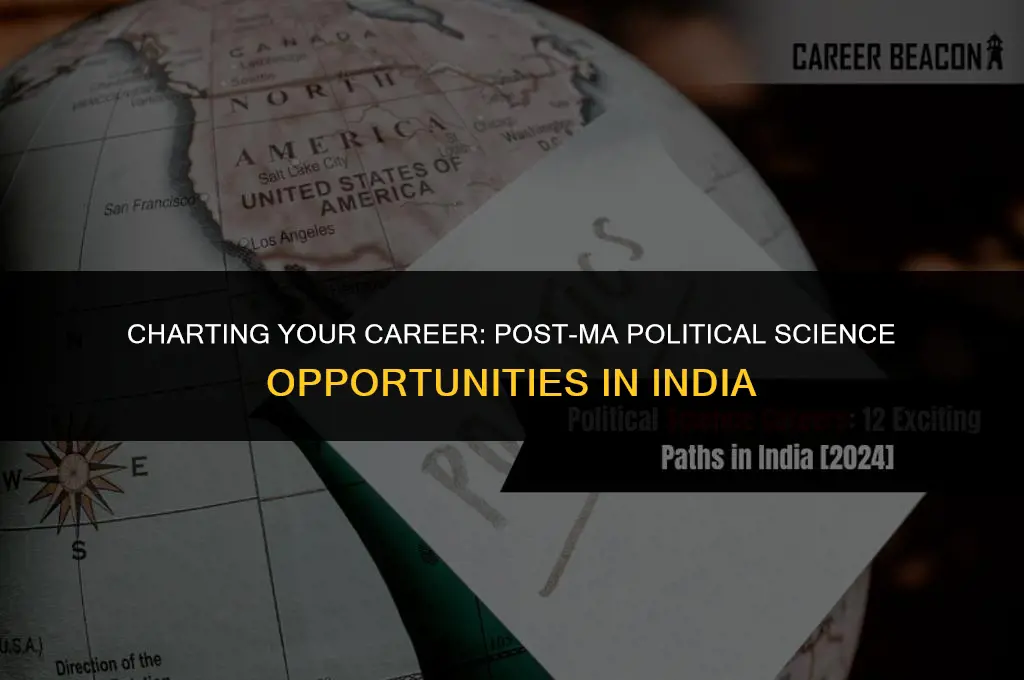 what to do after ma in political science in india