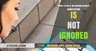 Revive Your Organization's Constitution: Take Action!