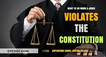 When Judges Violate the Constitution: Your Options