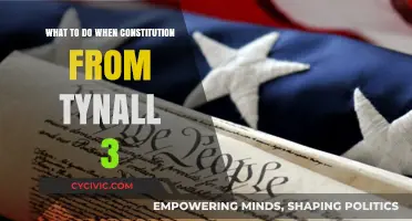 Exploring Tynall 3: Constitutional Actions and You