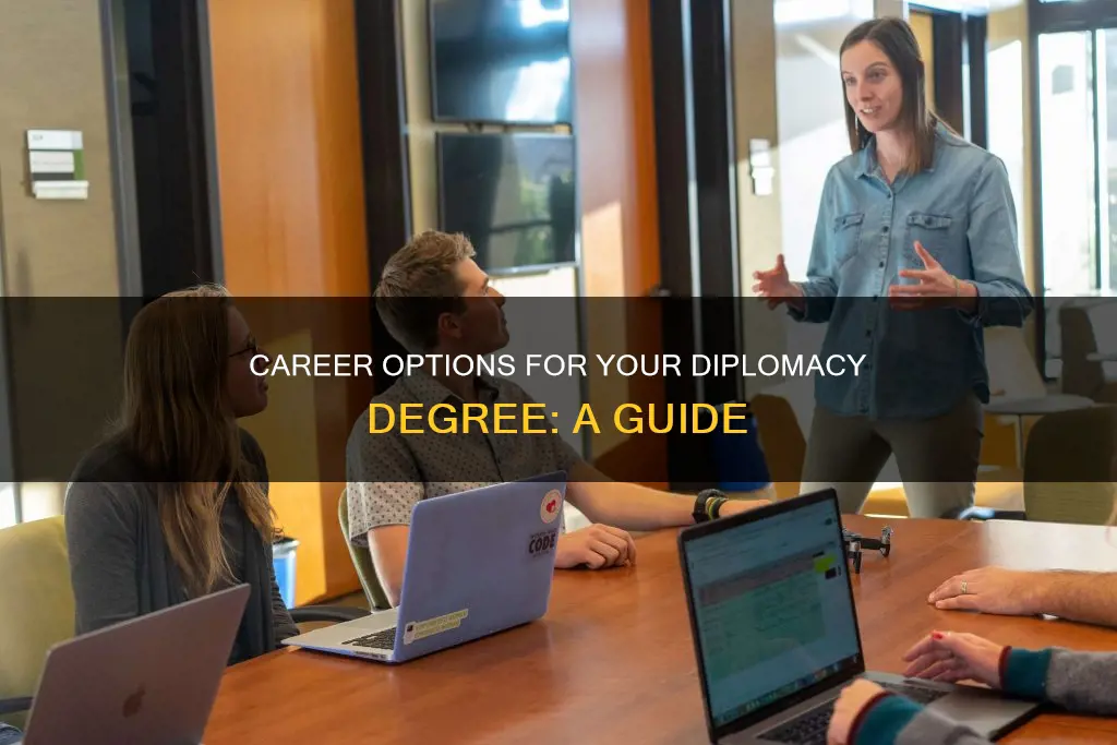what to do with a diplomacy degree