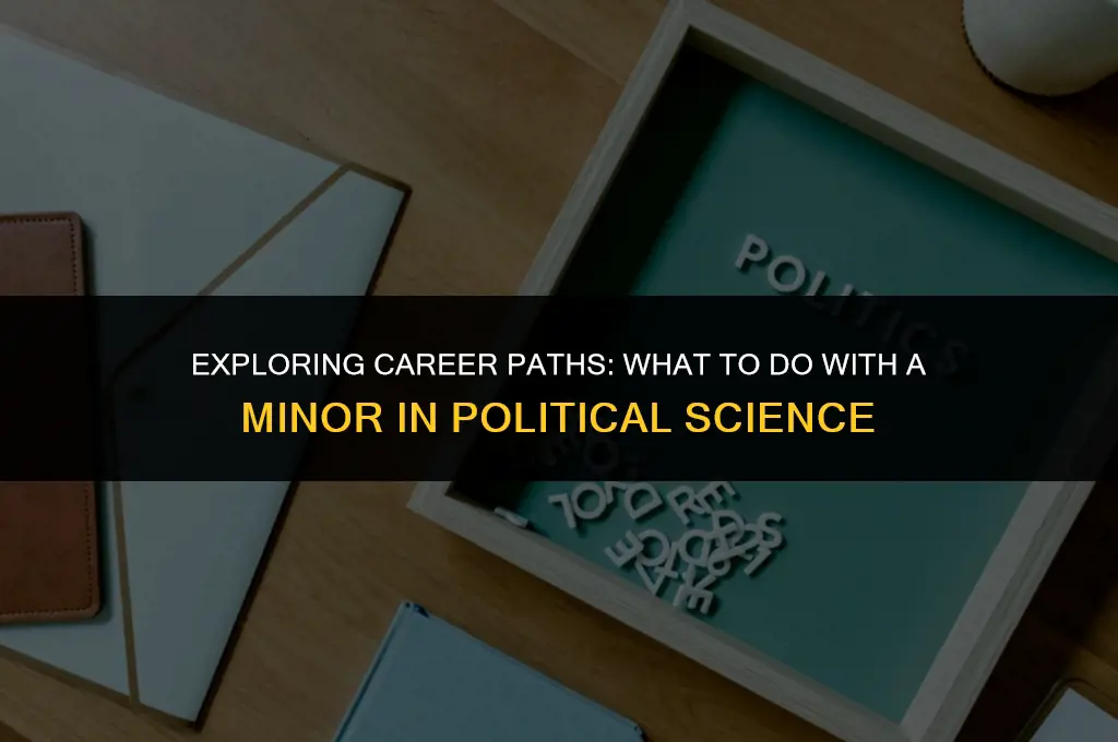 what to do with a minor in political science