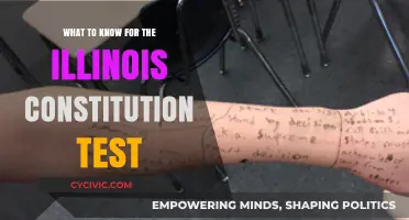 Illinois Constitution Test: Essential Knowledge Examined