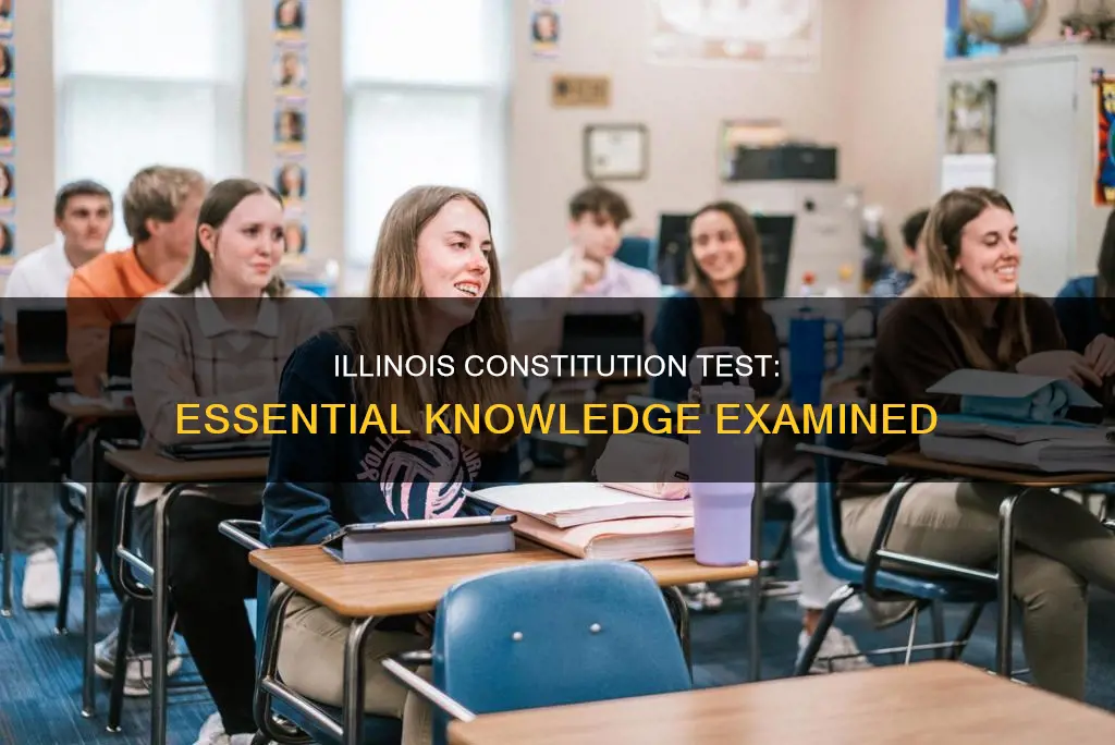 what to know for the illinois constitution test