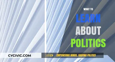 Understanding Politics: Key Concepts, Strategies, and Global Impact to Learn