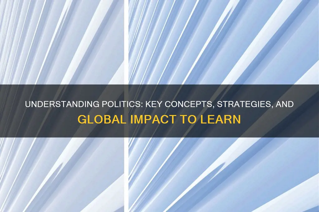 what to learn about politics