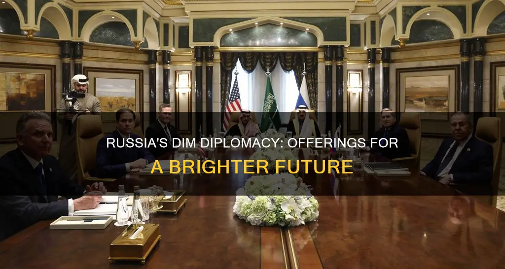 what to offer russia in dim diplomacy