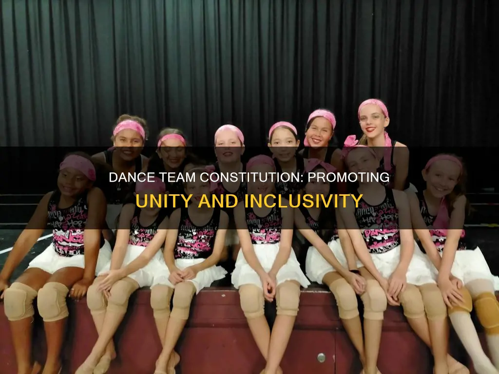 what to promote through your college dance team in constitution