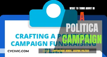 Political Campaigning: Key Considerations for Success