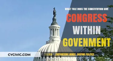 Congress's Constitutional Powers: A Governmental Overview
