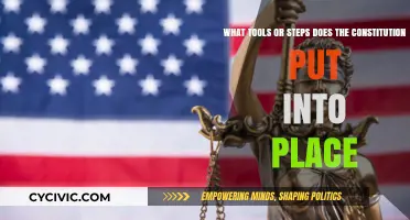 Tools and Steps: Constitution's Framework