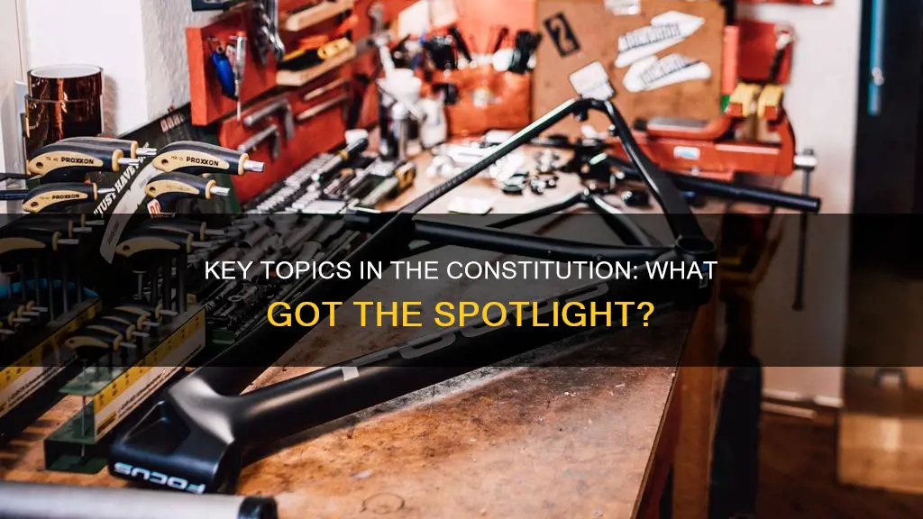 what topics received the most attention in the constitution