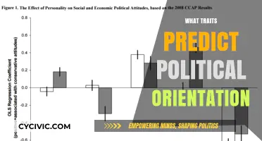 Unveiling Personality Traits That Shape Political Beliefs and Affiliations