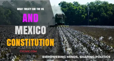 US-Mexico Treaty: A Constitutional Alliance
