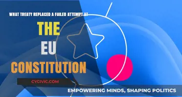 Lisbon Treaty: Reviving the EU Constitution