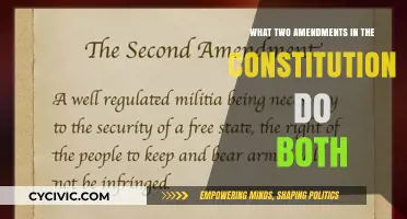 Amendments: What Two Constitutional Changes Do Both