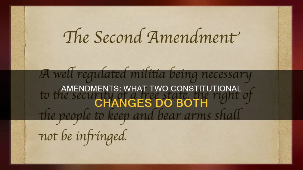 what two amendments in the constitution do both