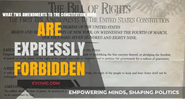 Forbidden Amendments: Two Constitutional Changes Barred