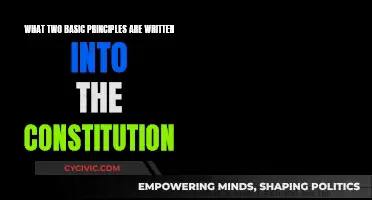 Founding Principles: Constitutional Fundamentals Explored