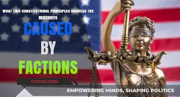 Battling Faction Mischiefs: Constitutional Principles