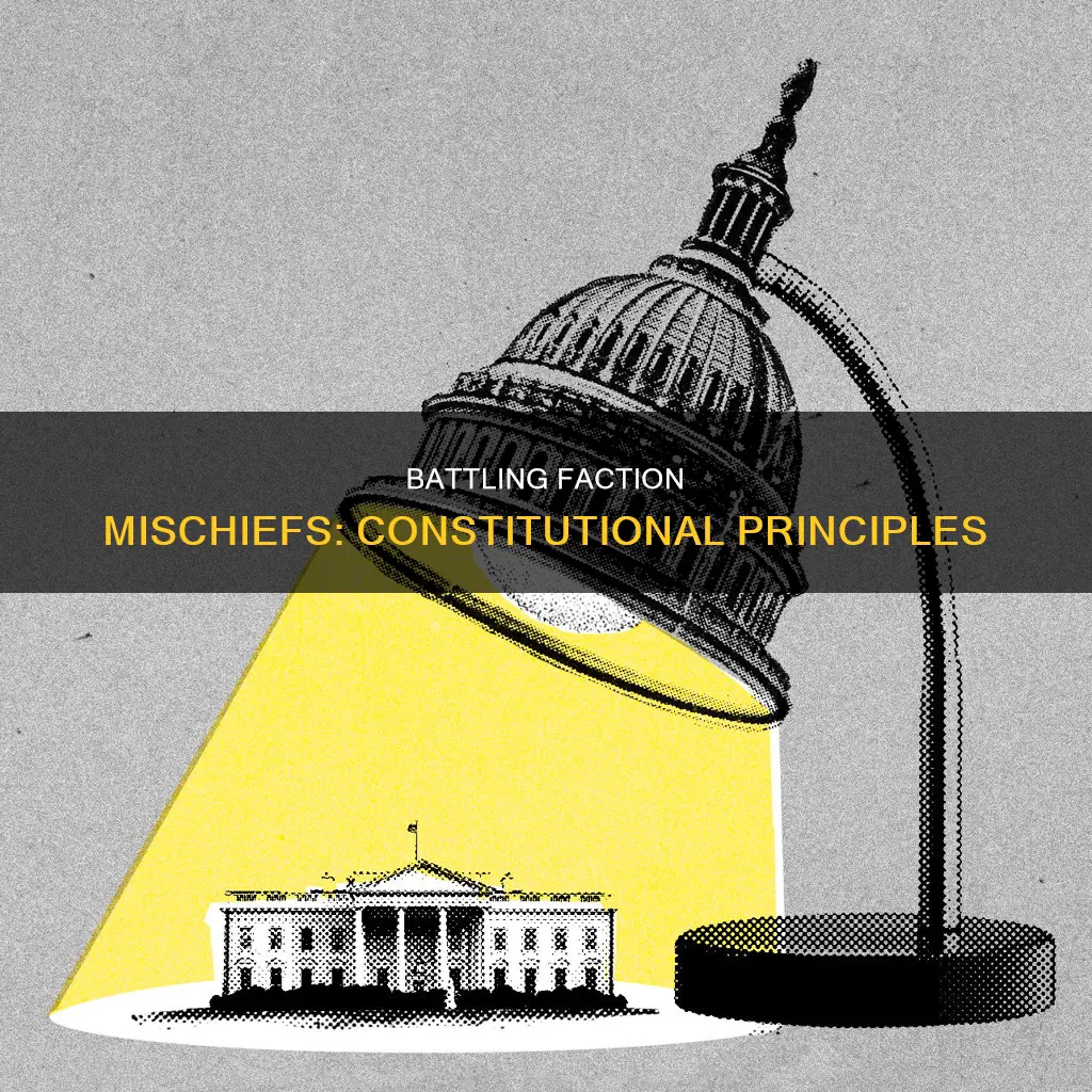 what two constitutional principles address the mischiefs caused by factions