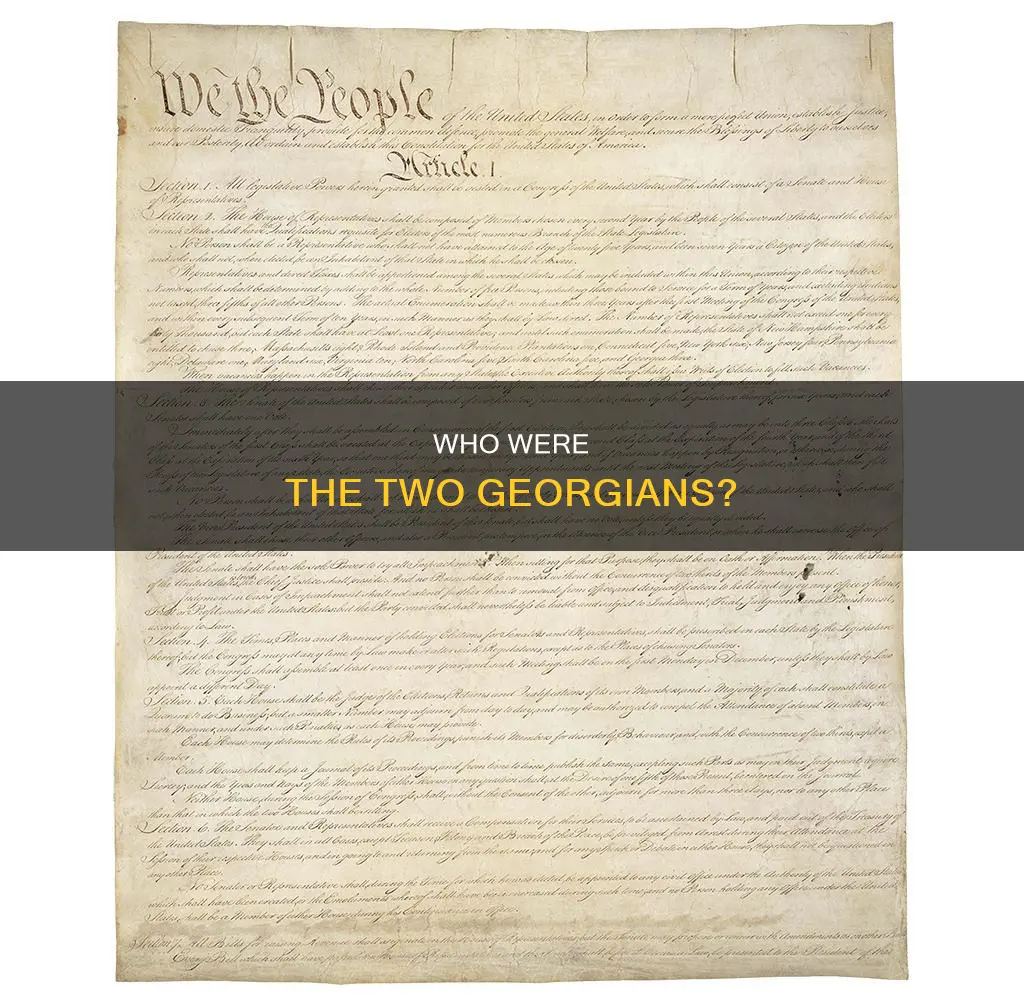 what two georgians signed the u s constitution