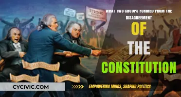 Federalists and Anti-Federalists: Constitution's Offspring