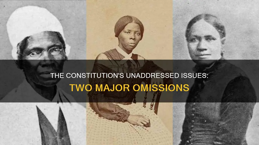 what two issues were left out of the constitution