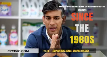 The Enduring Dominance of Labour and Conservatives in British Politics