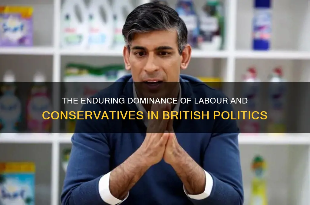 what two parties have dominated british politics since the 1980s