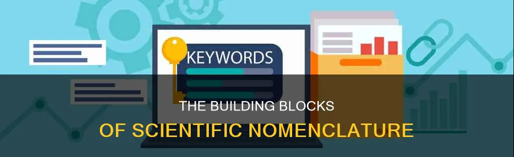 what two parts constitutes a scientific name