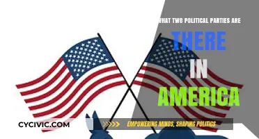 Understanding America's Political Landscape: The Two Major Parties Explained