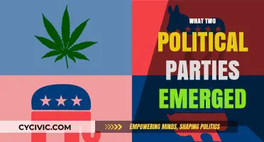 The Rise of Two Dominant Political Parties in Modern Politics