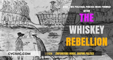 Post-Whiskey Rebellion: Birth of the Federalist and Democratic-Republican Parties