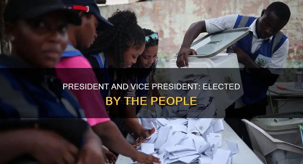 what two positions do the citizens elect in presidential democracy