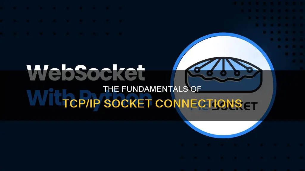 what two things constitute a tcp ip socket