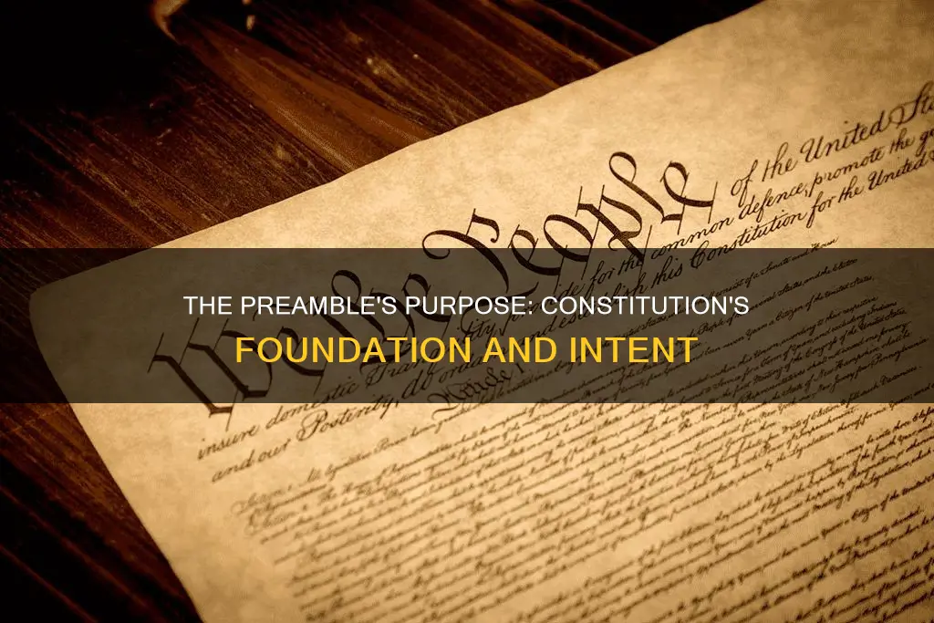 what two things did the preamble establish in the constitution