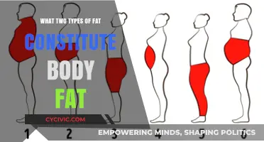 Understanding Body Fat: Two Types of Fat Explained