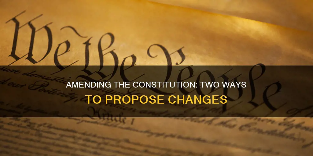 what two ways can a constitutional amendment be proposed