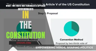 Federalist Compromises: Appeasing Anti-Federalists in the Constitution