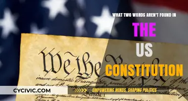 The US Constitution's Missing Words: Democracy and Freedom