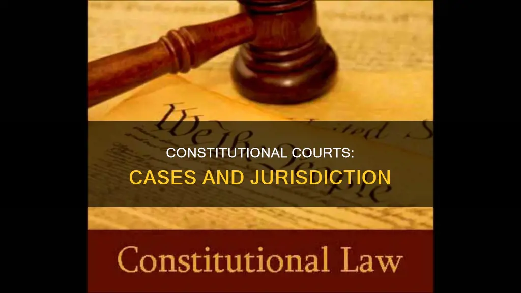 what type of cases do constitutional courts hear