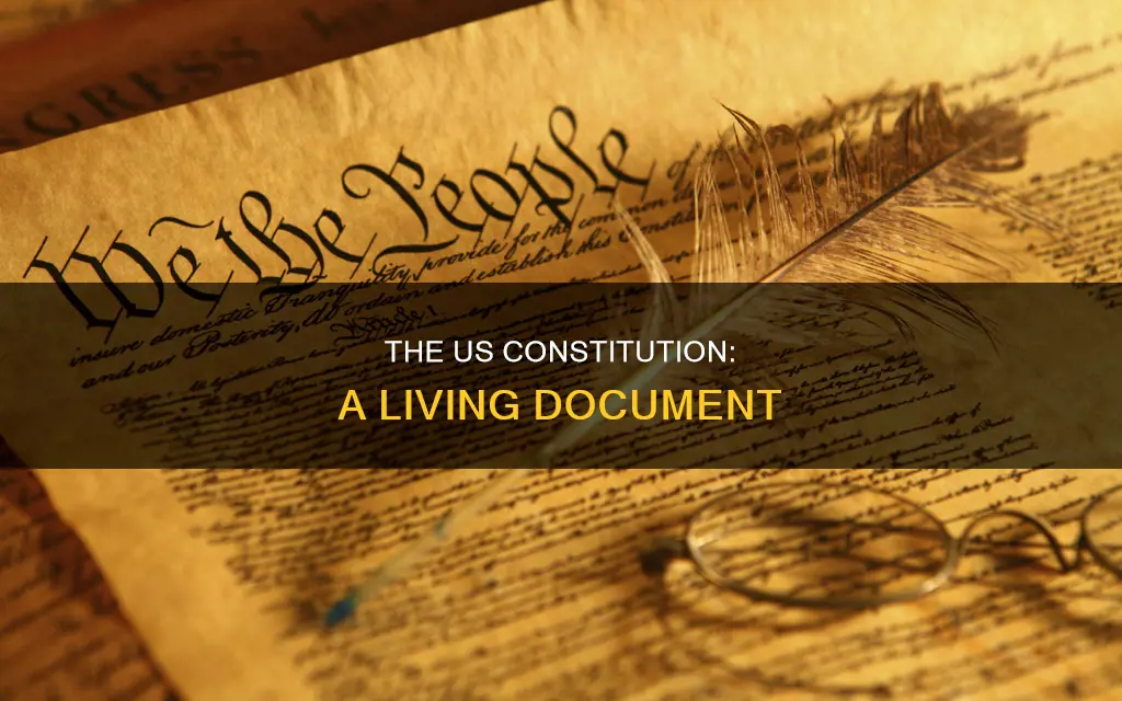 what type of constitution does the us have