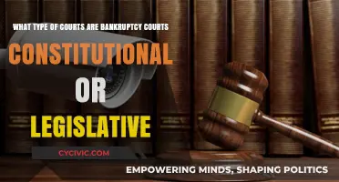 Are Bankruptcy Courts Constitutional or Legislative Creations?
