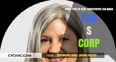 Understanding Tax Basis: S Corps and Debt