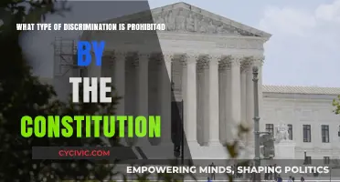Understanding the Constitution's Prohibited Discrimination
